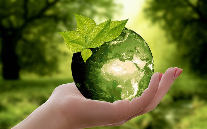 mundo natural mano